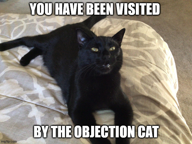 objection cat | YOU HAVE BEEN VISITED; BY THE OBJECTION CAT | image tagged in objection cat | made w/ Imgflip meme maker