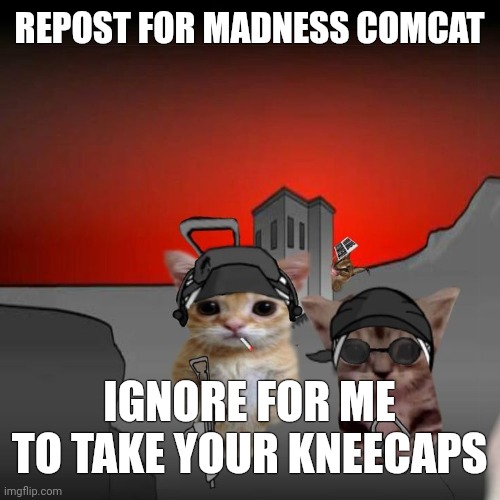 REPOST FOR MADNESS COMCAT; IGNORE FOR ME TO TAKE YOUR KNEECAPS | made w/ Imgflip meme maker