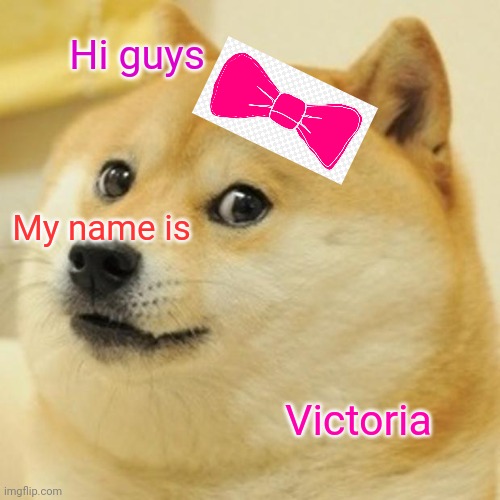 Doge Meme | Hi guys; My name is; Victoria | image tagged in memes,doge | made w/ Imgflip meme maker