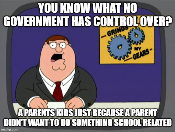 I.E, homeschool | YOU KNOW WHAT NO GOVERNMENT HAS CONTROL OVER? A PARENTS KIDS JUST BECAUSE A PARENT DIDN'T WANT TO DO SOMETHING SCHOOL RELATED | image tagged in memes,peter griffin news,school | made w/ Imgflip meme maker
