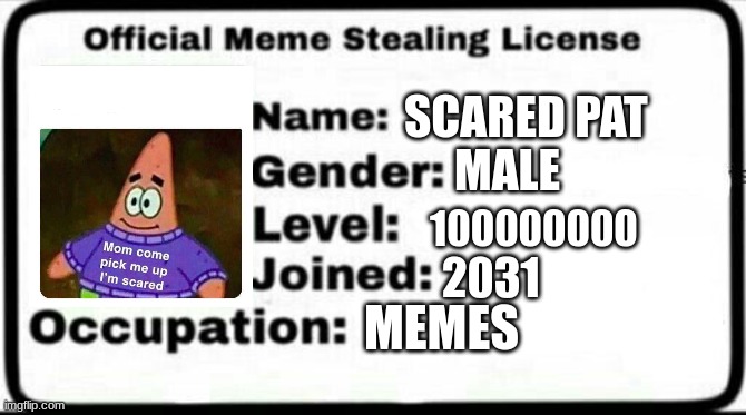 Meme Stealing License | SCARED PAT; MALE; 100000000; 2031; MEMES | image tagged in meme stealing license | made w/ Imgflip meme maker
