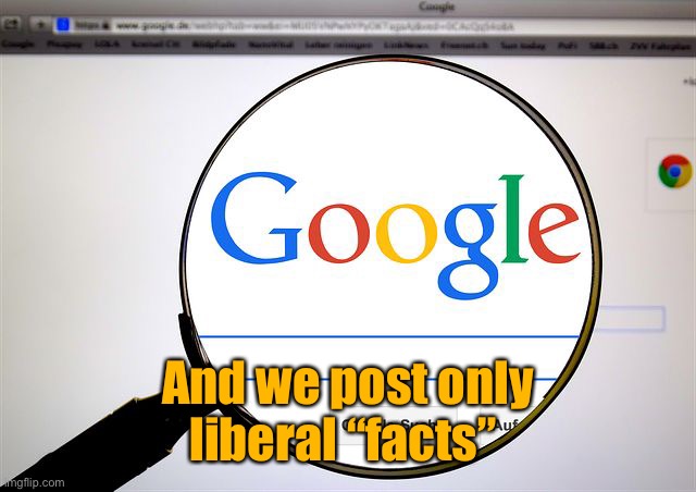 Google search | And we post only
liberal “facts” | image tagged in google search | made w/ Imgflip meme maker