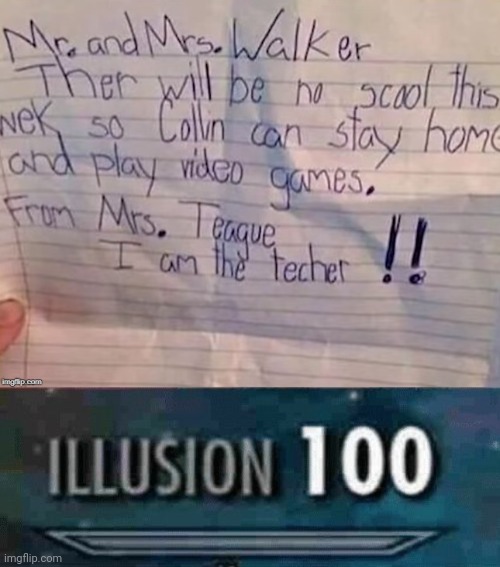 Illusion 100 | image tagged in illusion 100 | made w/ Imgflip meme maker