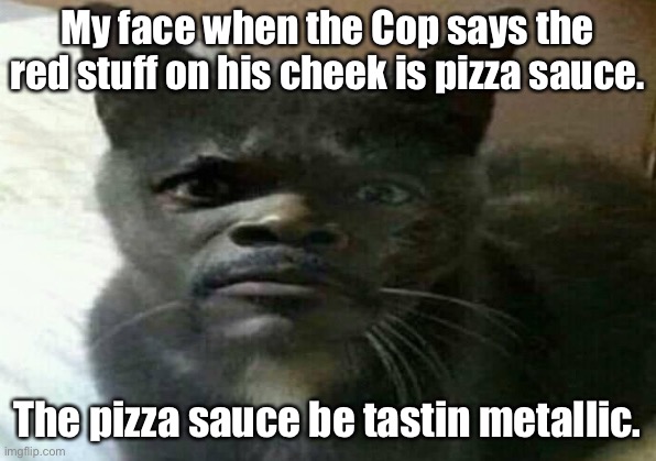 Who did you kill? | My face when the Cop says the red stuff on his cheek is pizza sauce. The pizza sauce be tastin metallic. | image tagged in funny memes | made w/ Imgflip meme maker