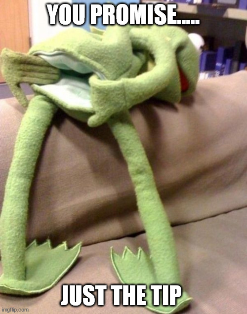 Kermit Bent Over  | YOU PROMISE..... JUST THE TIP | image tagged in kermit bent over | made w/ Imgflip meme maker