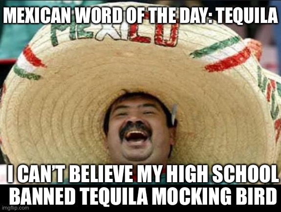 Because it has the N WORD | MEXICAN WORD OF THE DAY: TEQUILA; I CAN’T BELIEVE MY HIGH SCHOOL
BANNED TEQUILA MOCKING BIRD | image tagged in mexican word of the day | made w/ Imgflip meme maker