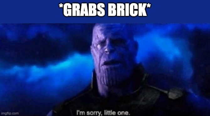 Im sorry little one | *GRABS BRICK* | image tagged in im sorry little one | made w/ Imgflip meme maker