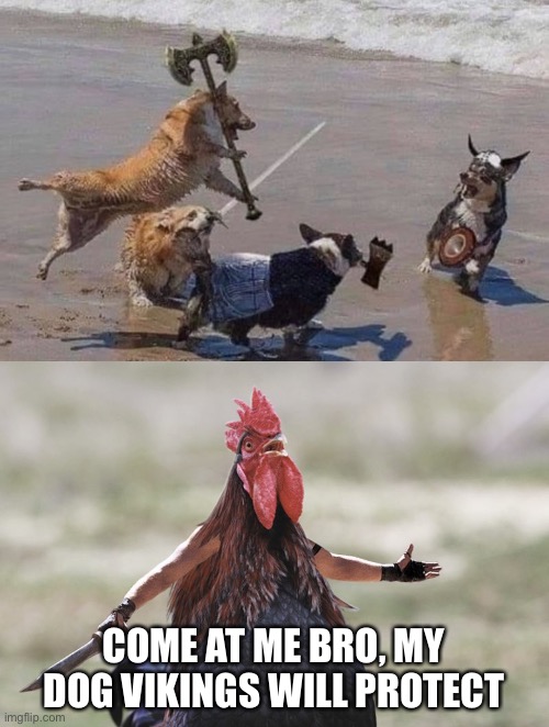 Come at my dogvikings | COME AT ME BRO, MY DOG VIKINGS WILL PROTECT | image tagged in gladiator rooster | made w/ Imgflip meme maker