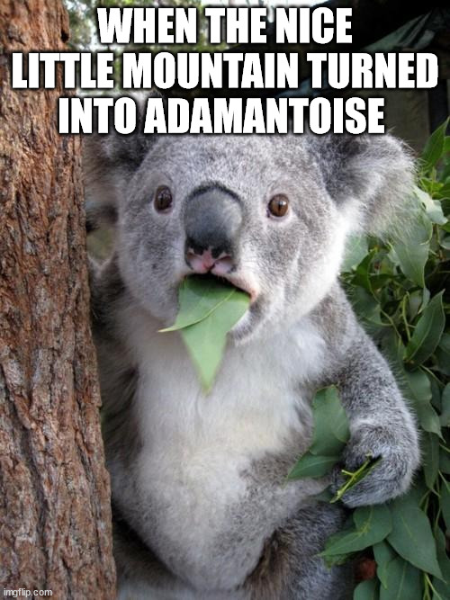 Surprised Koala | WHEN THE NICE LITTLE MOUNTAIN TURNED INTO ADAMANTOISE | image tagged in memes,surprised koala | made w/ Imgflip meme maker