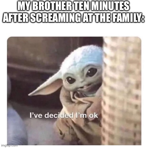 I’m ok now :) | MY BROTHER TEN MINUTES AFTER SCREAMING AT THE FAMILY: | image tagged in baby yoda,grogu | made w/ Imgflip meme maker