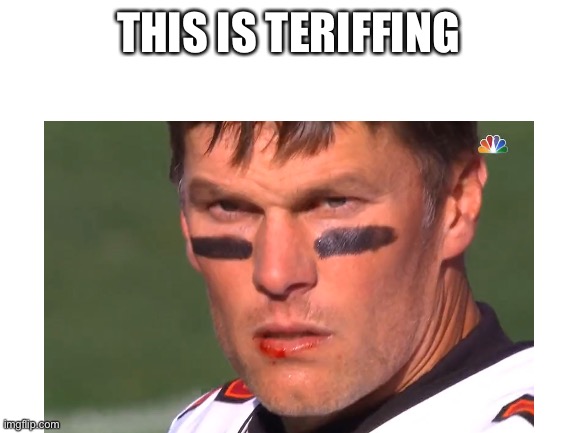 This is terryfing | THIS IS TERIFFING | image tagged in fun | made w/ Imgflip meme maker