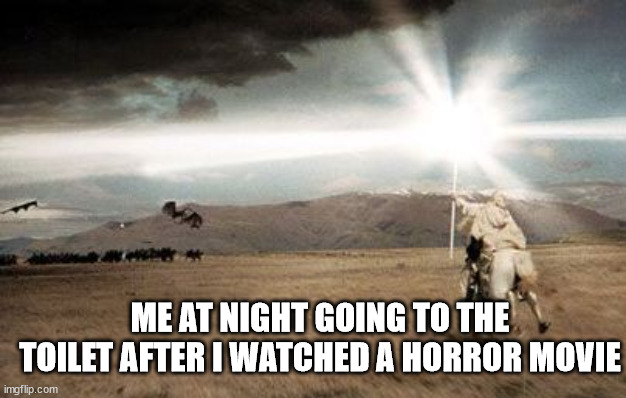 Gandalf Light | ME AT NIGHT GOING TO THE TOILET AFTER I WATCHED A HORROR MOVIE | image tagged in gandalf light | made w/ Imgflip meme maker