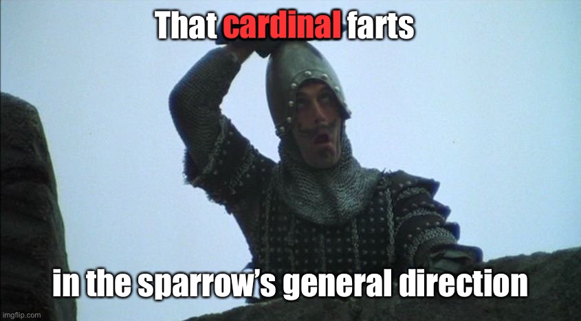 Fart in your general direction | That cardinal farts in the sparrow’s general direction cardinal | image tagged in fart in your general direction | made w/ Imgflip meme maker