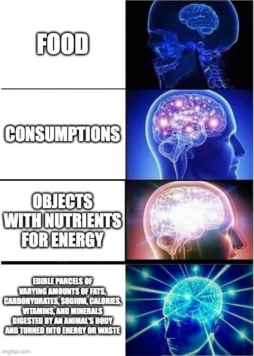 Expanding Brain | FOOD; CONSUMPTIONS; OBJECTS WITH NUTRIENTS FOR ENERGY; EDIBLE PARCELS OF VARYING AMOUNTS OF FATS, CARBOHYDRATES, SODIUM, CALORIES, VITAMINS, AND MINERALS DIGESTED BY AN ANIMAL'S BODY AND TURNED INTO ENERGY OR WASTE | image tagged in memes,expanding brain | made w/ Imgflip meme maker