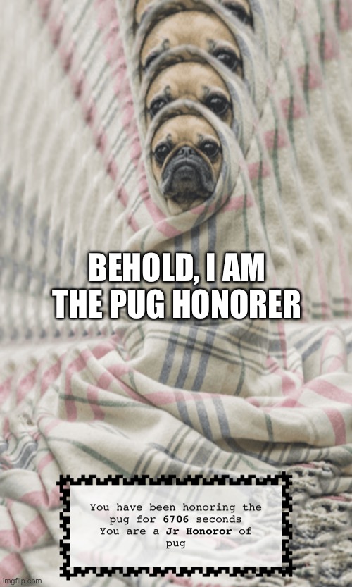 Useless dark web Try it out! XD | BEHOLD, I AM THE PUG HONORER | image tagged in pugs,worship,honor | made w/ Imgflip meme maker