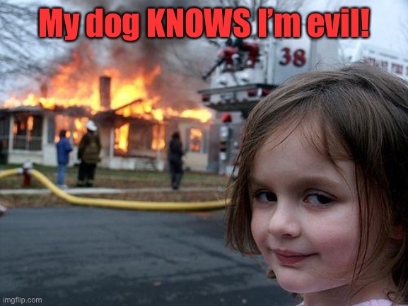 Disaster Girl Meme | My dog KNOWS I’m evil! | image tagged in memes,disaster girl | made w/ Imgflip meme maker