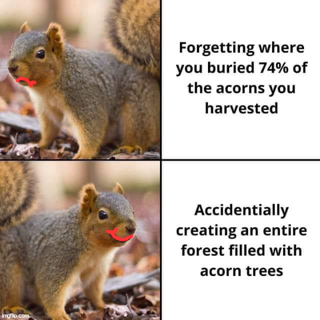 image tagged in squirrel | made w/ Imgflip meme maker