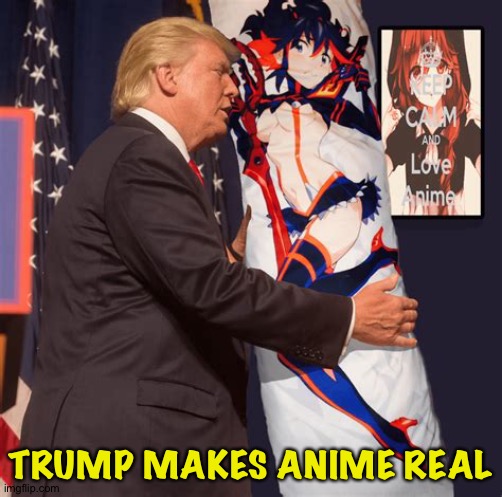 A gift from Mike Lindell | TRUMP MAKES ANIME REAL | image tagged in trump,anime pillow | made w/ Imgflip meme maker