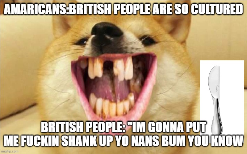 BRI'SH "PEOPLE" | AMARICANS:BRITISH PEOPLE ARE SO CULTURED; BRITISH PEOPLE: "IM GONNA PUT ME FUCKIN SHANK UP YO NANS BUM YOU KNOW | image tagged in funny,lol so funny,pie charts,first world problems,batman slapping robin,doge | made w/ Imgflip meme maker