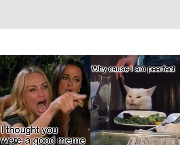 Woman Yelling At Cat | Why cause I am peerfect; I thought you were a good meme | image tagged in memes,woman yelling at cat | made w/ Imgflip meme maker