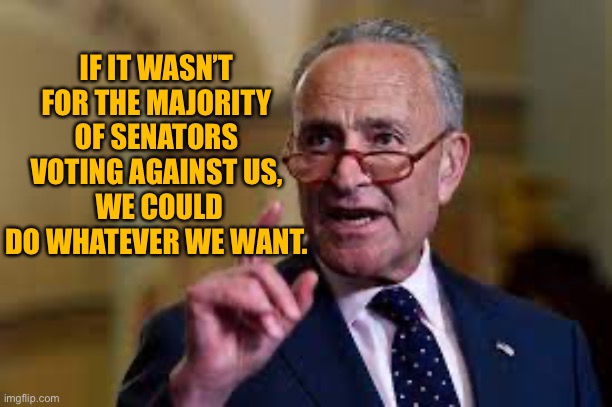 Chuck Shumer | IF IT WASN’T FOR THE MAJORITY OF SENATORS VOTING AGAINST US,
 WE COULD DO WHATEVER WE WANT. | image tagged in chuck shumer | made w/ Imgflip meme maker