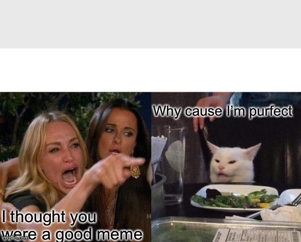 Woman Yelling At Cat Meme | Why cause I’m purfect; I thought you were a good meme | image tagged in memes,woman yelling at cat | made w/ Imgflip meme maker