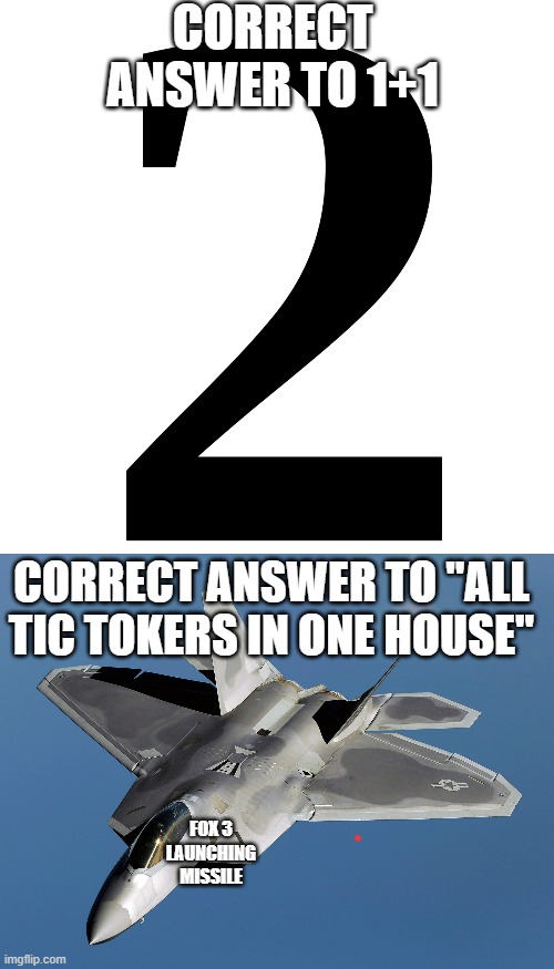 all tic tokers in one house | CORRECT ANSWER TO 1+1; CORRECT ANSWER TO "ALL TIC TOKERS IN ONE HOUSE"; FOX 3 LAUNCHING MISSILE | image tagged in custom template | made w/ Imgflip meme maker