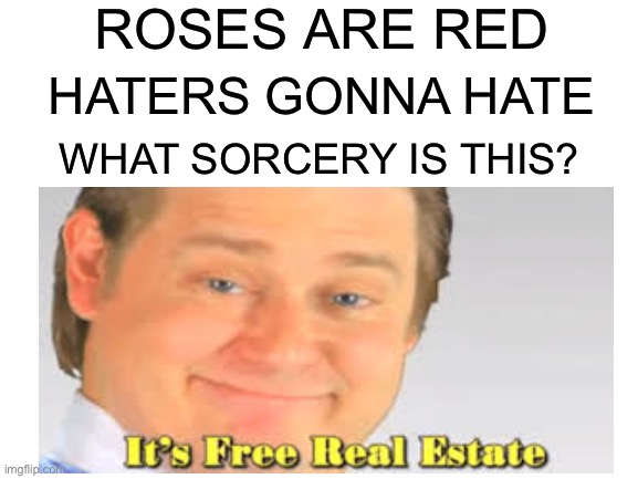 This idea kept me up all night | ROSES ARE RED; HATERS GONNA HATE; WHAT SORCERY IS THIS? | image tagged in roses are red | made w/ Imgflip meme maker