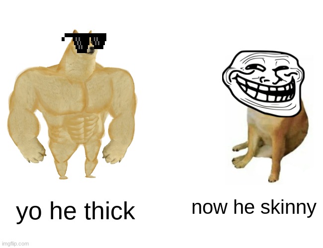 doge transformation | now he skinny; yo he thick | image tagged in memes,buff doge vs cheems | made w/ Imgflip meme maker