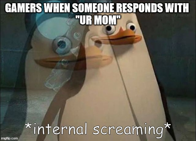 Private Internal Screaming | GAMERS WHEN SOMEONE RESPONDS WITH 
"UR MOM" | image tagged in private internal screaming | made w/ Imgflip meme maker