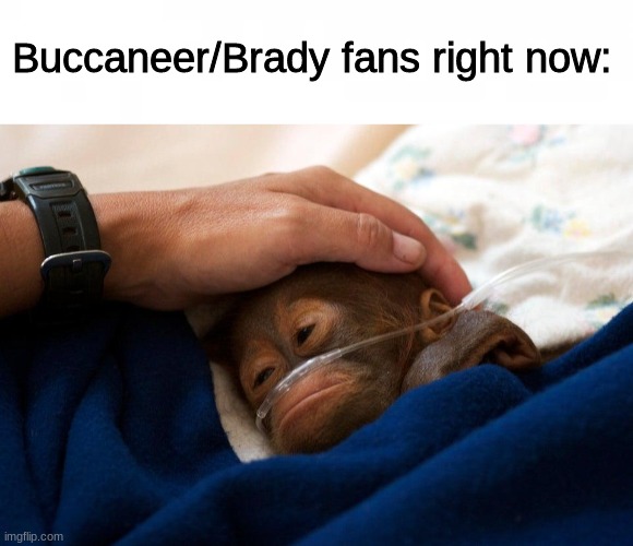 RIP | Buccaneer/Brady fans right now: | image tagged in tom brady,nfl,memes | made w/ Imgflip meme maker