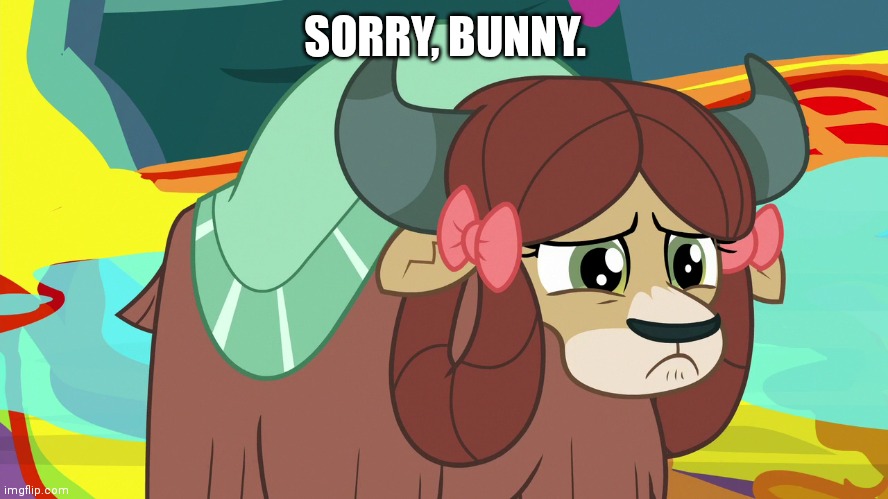 Upsetted Yona (MLP) | SORRY, BUNNY. | image tagged in upsetted yona mlp | made w/ Imgflip meme maker