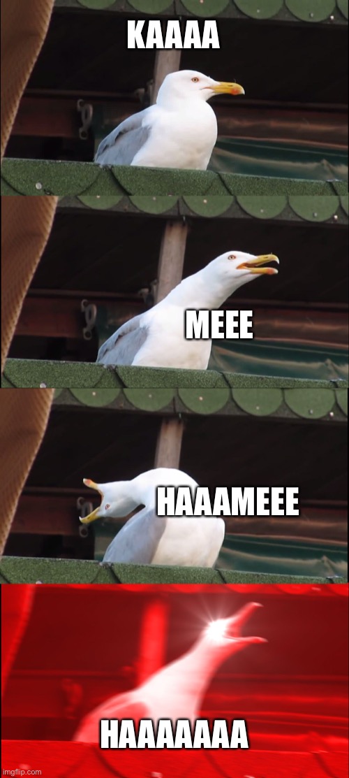 when goku: | KAAAA; MEEE; HAAAMEEE; HAAAAAAA | image tagged in memes,inhaling seagull | made w/ Imgflip meme maker