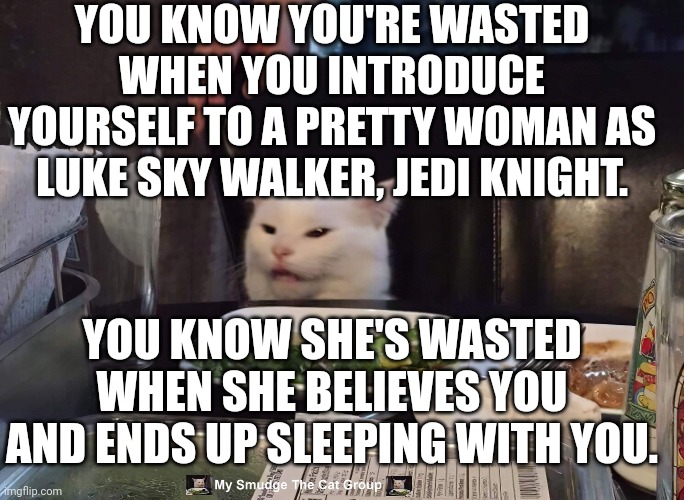 YOU KNOW YOU'RE WASTED WHEN YOU INTRODUCE YOURSELF TO A PRETTY WOMAN AS LUKE SKY WALKER, JEDI KNIGHT. YOU KNOW SHE'S WASTED WHEN SHE BELIEVES YOU AND ENDS UP SLEEPING WITH YOU. | image tagged in smudge the cat | made w/ Imgflip meme maker