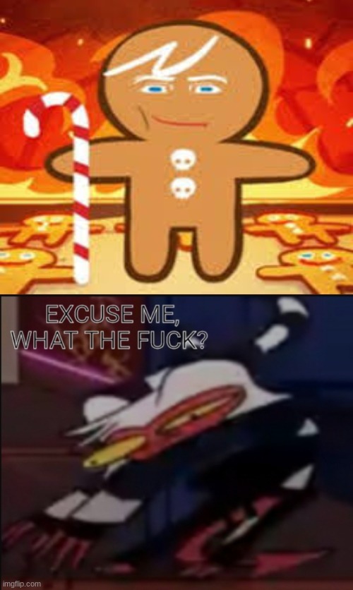 what the heck | image tagged in moxxie what the f ck | made w/ Imgflip meme maker