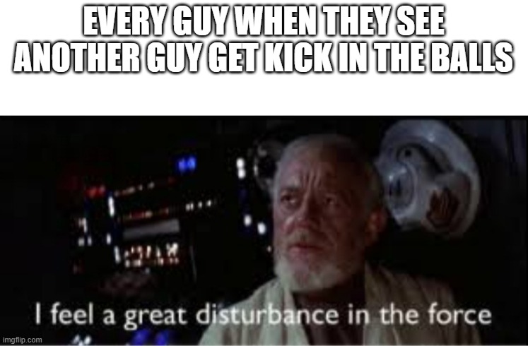I feel a great disturbance in the force | EVERY GUY WHEN THEY SEE ANOTHER GUY GET KICK IN THE BALLS | image tagged in i feel a great disturbance in the force | made w/ Imgflip meme maker