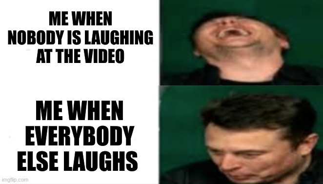 SO FRICKIN' awkward... | ME WHEN NOBODY IS LAUGHING AT THE VIDEO; ME WHEN EVERYBODY ELSE LAUGHS | image tagged in elon musk serious and laughing,thanks for the template,lol,memes,relatable | made w/ Imgflip meme maker