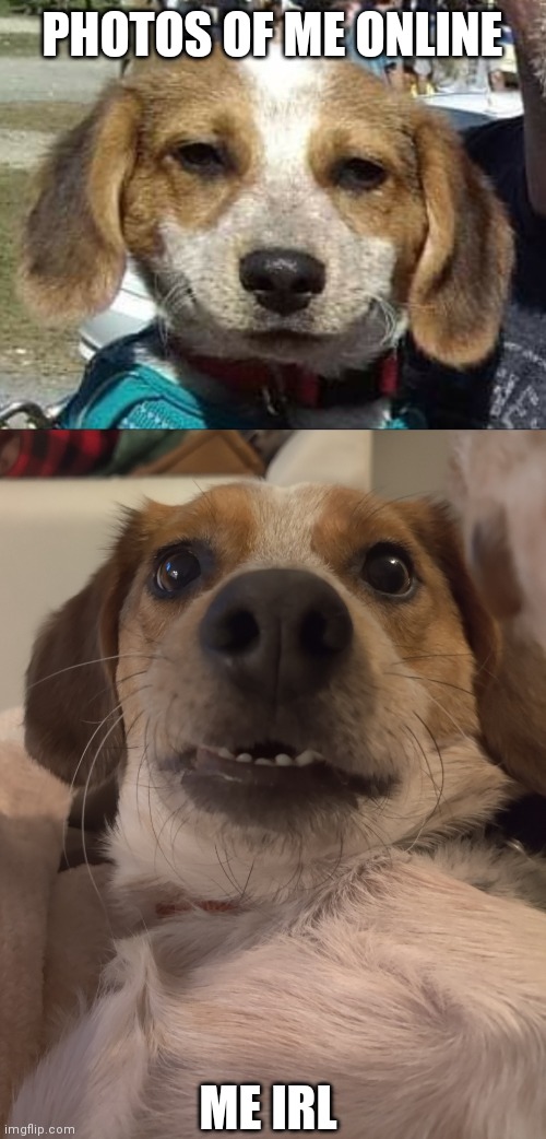 PHOTOS OF ME ONLINE; ME IRL | made w/ Imgflip meme maker