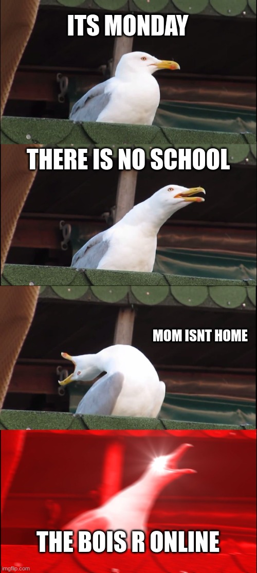 yes | ITS MONDAY; THERE IS NO SCHOOL; MOM ISNT HOME; THE BOIS R ONLINE | image tagged in memes,inhaling seagull | made w/ Imgflip meme maker