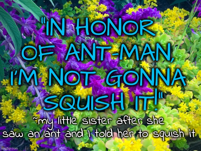 She made ME squish it |  “IN HONOR 
OF ANT-MAN, 
I’M NOT GONNA 
SQUISH IT!”; ~my little sister after she saw an ant and I told her to squish it | image tagged in ant,ants,ant-man,marvel,sister,siblings | made w/ Imgflip meme maker