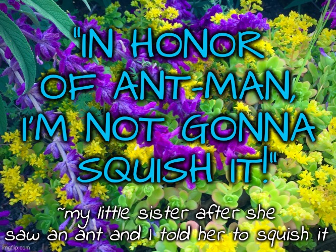 She made me squish it instead | “IN HONOR 
OF ANT-MAN, 
I’M NOT GONNA 
SQUISH IT!”; ~my little sister after she saw an ant and I told her to squish it | image tagged in ants,ant-man,sisters,siblings,quote | made w/ Imgflip meme maker