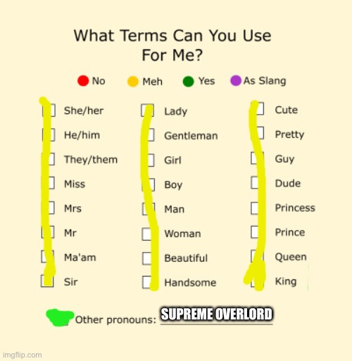 These are my pronouns ig | SUPREME OVERLORD | image tagged in pronouns sheet | made w/ Imgflip meme maker