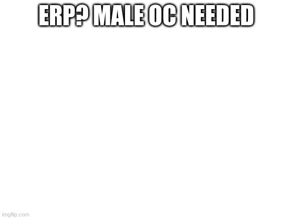 Blank White Template | ERP? MALE OC NEEDED | image tagged in blank white template | made w/ Imgflip meme maker