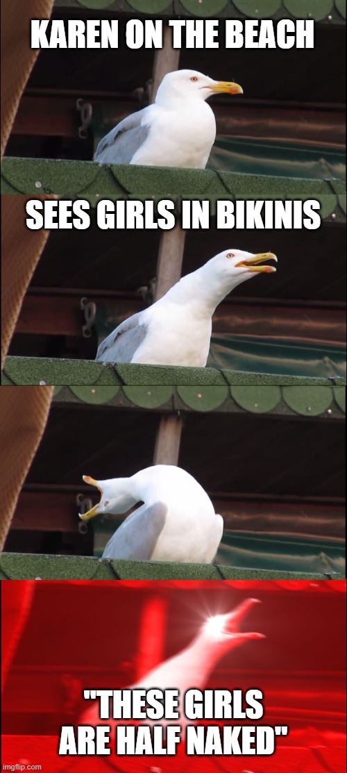 karens.. |  KAREN ON THE BEACH; SEES GIRLS IN BIKINIS; "THESE GIRLS ARE HALF NAKED" | image tagged in memes,inhaling seagull | made w/ Imgflip meme maker