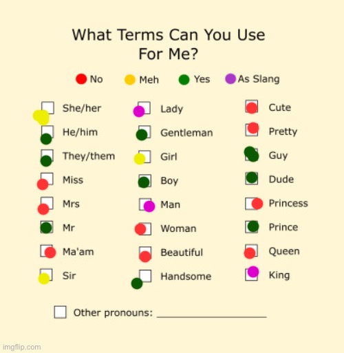 Pls use | image tagged in pronouns sheet | made w/ Imgflip meme maker