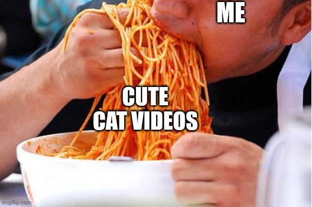 The Internet | ME; CUTE CAT VIDEOS | image tagged in pasta hands | made w/ Imgflip meme maker