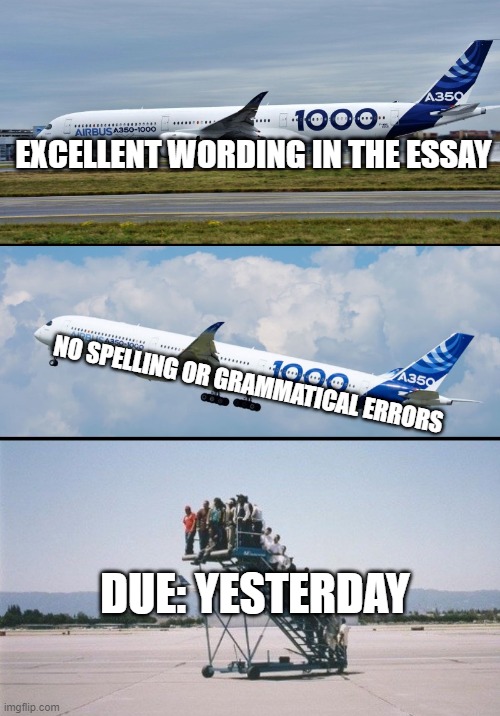 Plane forgot passengers | EXCELLENT WORDING IN THE ESSAY; NO SPELLING OR GRAMMATICAL ERRORS; DUE: YESTERDAY | image tagged in plane forgot passengers | made w/ Imgflip meme maker