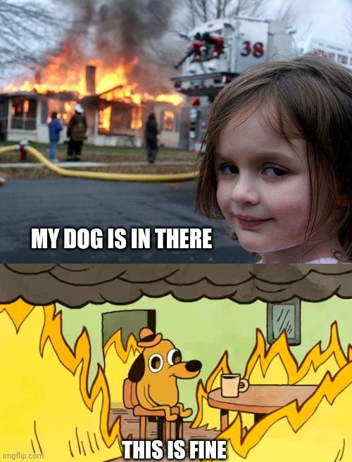 When your dog is difficult to house train | MY DOG IS IN THERE; THIS IS FINE | image tagged in memes,disaster girl,everythings-fine | made w/ Imgflip meme maker