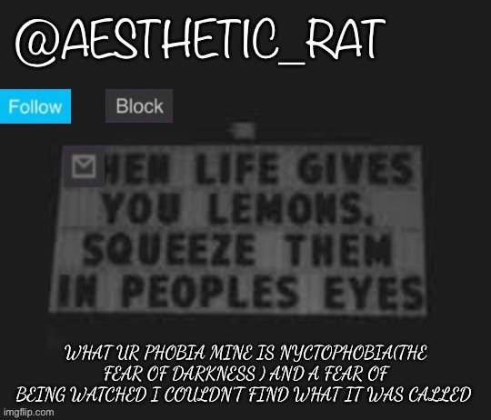 Aesthetic_Rat | WHAT UR PHOBIA MINE IS NYCTOPHOBIA(THE FEAR OF DARKNESS ) AND A FEAR OF BEING WATCHED I COULDN’T FIND WHAT IT WAS CALLED | image tagged in aesthetic_rat | made w/ Imgflip meme maker