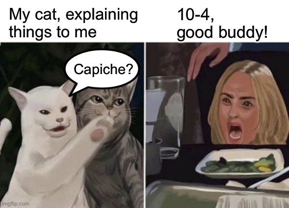 Cat yelling at woman | My cat, explaining things to me 10-4, good buddy! Capiche? | image tagged in cat yelling at woman | made w/ Imgflip meme maker